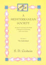 A Mediterranean Society, Volume V