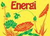 Hälsoserien : Energi (PDF)
