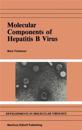 Molecular Components of Hepatitis B Virus