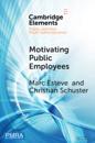 Motivating Public Employees