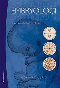 Embryologi : en kortfattad lärobok - Norbert Ulfig | Mejoreshoteles.org