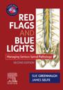 E-Book - Red Flags