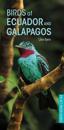 Birds of Ecuador and Galapagos