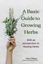 The Basic Guide To Growing Herbs