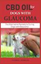 CBD Oil for Dogs with Glaucoma