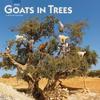Goats in Trees 2020 Square Wall Calendar