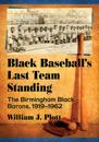 Black Baseball's Last Team Standing