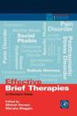 Effective Brief Therapies