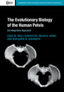 The Evolutionary Biology of the Human Pelvis