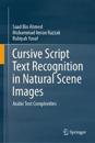 Cursive Script Text Recognition in Natural Scene Images