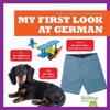 My First Look at German