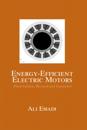 Energy-Efficient Electric Motors, Revised and Expanded