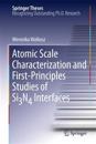 Atomic Scale Characterization and First-Principles Studies of Si3N4 Interfaces