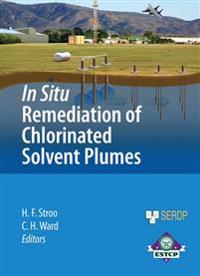 In Situ Remediation of Chlorinated Solvent Plumes