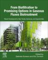 From Biofiltration to Promising Options in Gaseous Fluxes Biotreatment