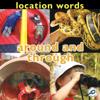 Location Words: Around and Through