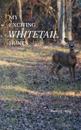My Exciting Whitetail Hunts