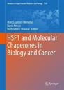 HSF1 and Molecular Chaperones in Biology and Cancer