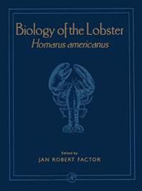 Biology of the Lobster Homarus Americanus