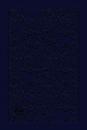 The Passion Translation New Testament with Psalms Proverbs and Song of Songs (2020 Edn) Large Print Navy Faux Leather