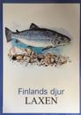 Laxen Finlands djur
