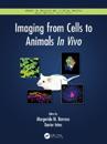 Imaging from Cells to Animals In Vivo
