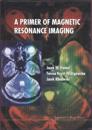 Primer Of Magnetic Resonance Imaging, A