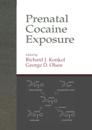 Prenatal Cocaine Exposure