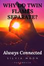 Why Do Twin Flames Separate?