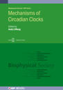 Mechanisms of Circadian Clocks