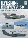 Il’yushin/Beriyev A-50