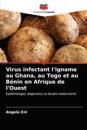 Virus infectant l'igname au Ghana, au Togo et au Bénin en Afrique de l'Ouest
