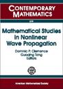 Mathematical Studies In Nonlinear Wave Propagation