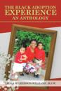 Black Adoption Experience an Anthology