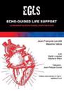 Echo Guided Life Support (EGLS)