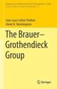 The Brauer–Grothendieck Group