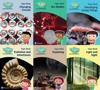 Science Bug International Year 6 Topic Book Pack