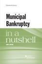 Municipal Bankruptcy in a Nutshell