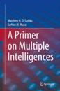Primer on Multiple Intelligences