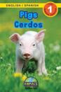 Pigs / Cerdos