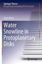 Water Snowline in Protoplanetary Disks