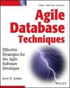 Agile Database Techniques: Effective Strategies for the Agile Software Deve