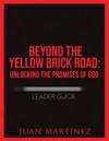Beyond the Yellow Brick Road