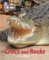 Crocs and Rocks