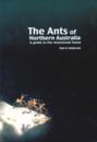 Ants of Northern Australia