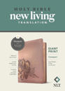 NLT Compact Giant Print Bible, Filament Edition, Rose