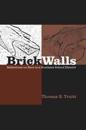 Brick Walls and Other Barriers