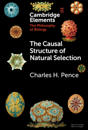 The Causal Structure of Natural Selection