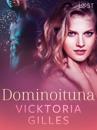 Dominoituna - eroottinen novelli