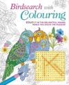 Birdsearch with Colouring